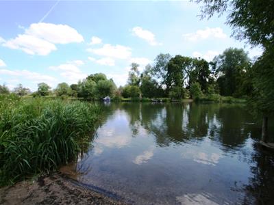 Picture 19